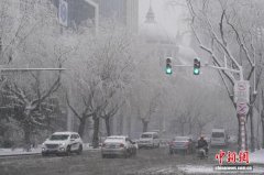 黑龙江：受天气原因影响 9条高速公路全线封闭